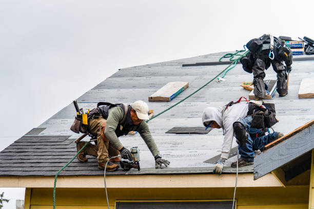 Professional Storm Damage Roof Repair technician working in Thief River Falls, MN